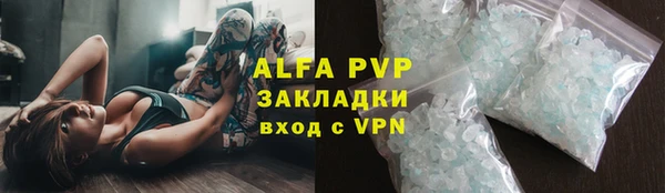 PSILOCYBIN Покачи