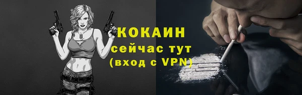 твердый Покровск