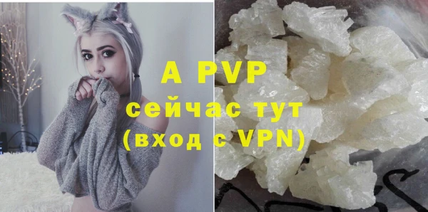 PSILOCYBIN Покачи