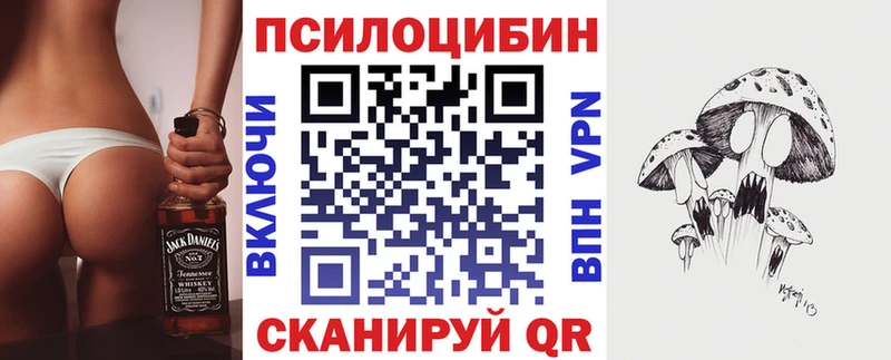 Псилоцибиновые грибы Psilocybe  Ахтырский 